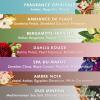 imageMoroccanoil Body LotionDahlia Rouge