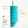 imageMoroccanoil Moisture Repair Shampoo84 Fl Oz Pack of 1