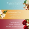 image:imageMoroccanoil Hair amp Body Fragrance Mist Trio Scent Bundle
